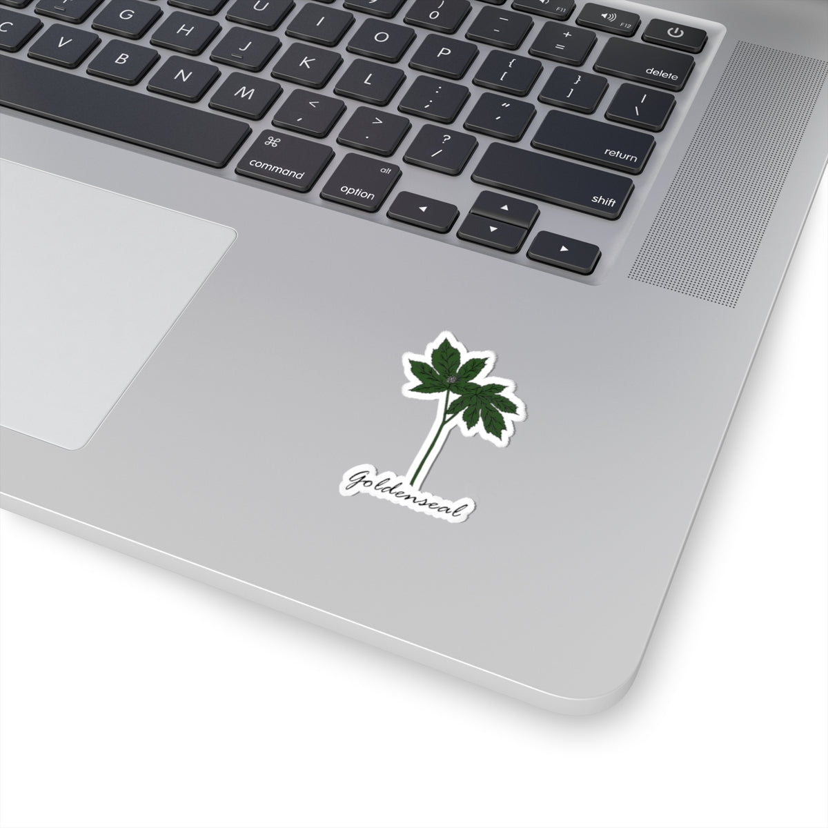 Goldenseal Sticker