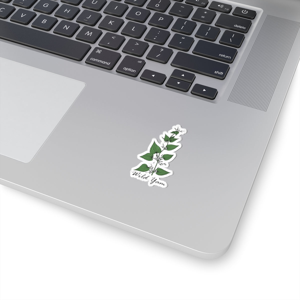 Wild Yam Sticker