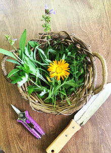 How to Harvest and Store Herbs