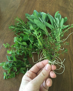 Kitchen Medicine - Parsley, Sage, Rosemary and Thyme