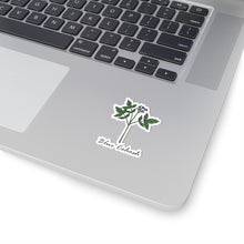 Blue Cohosh Sticker