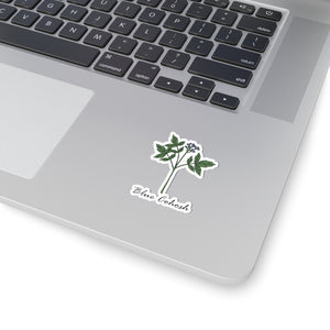 Blue Cohosh Sticker