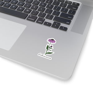 Echinacea Sticker