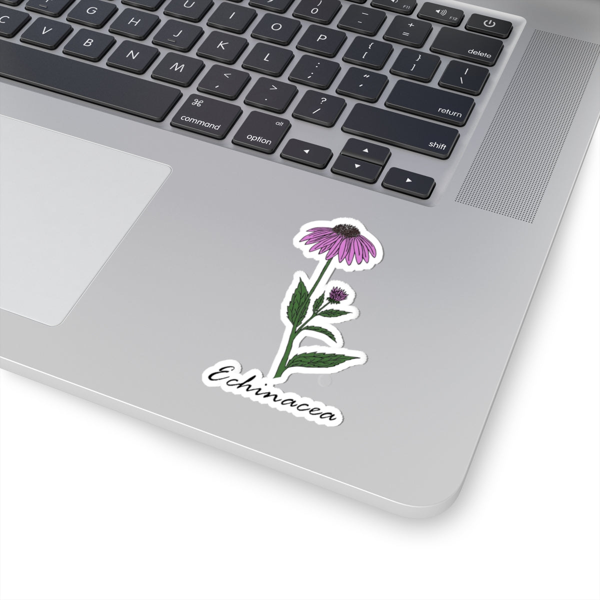 Echinacea Sticker
