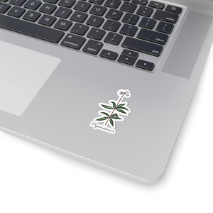 Pipsissewa Sticker