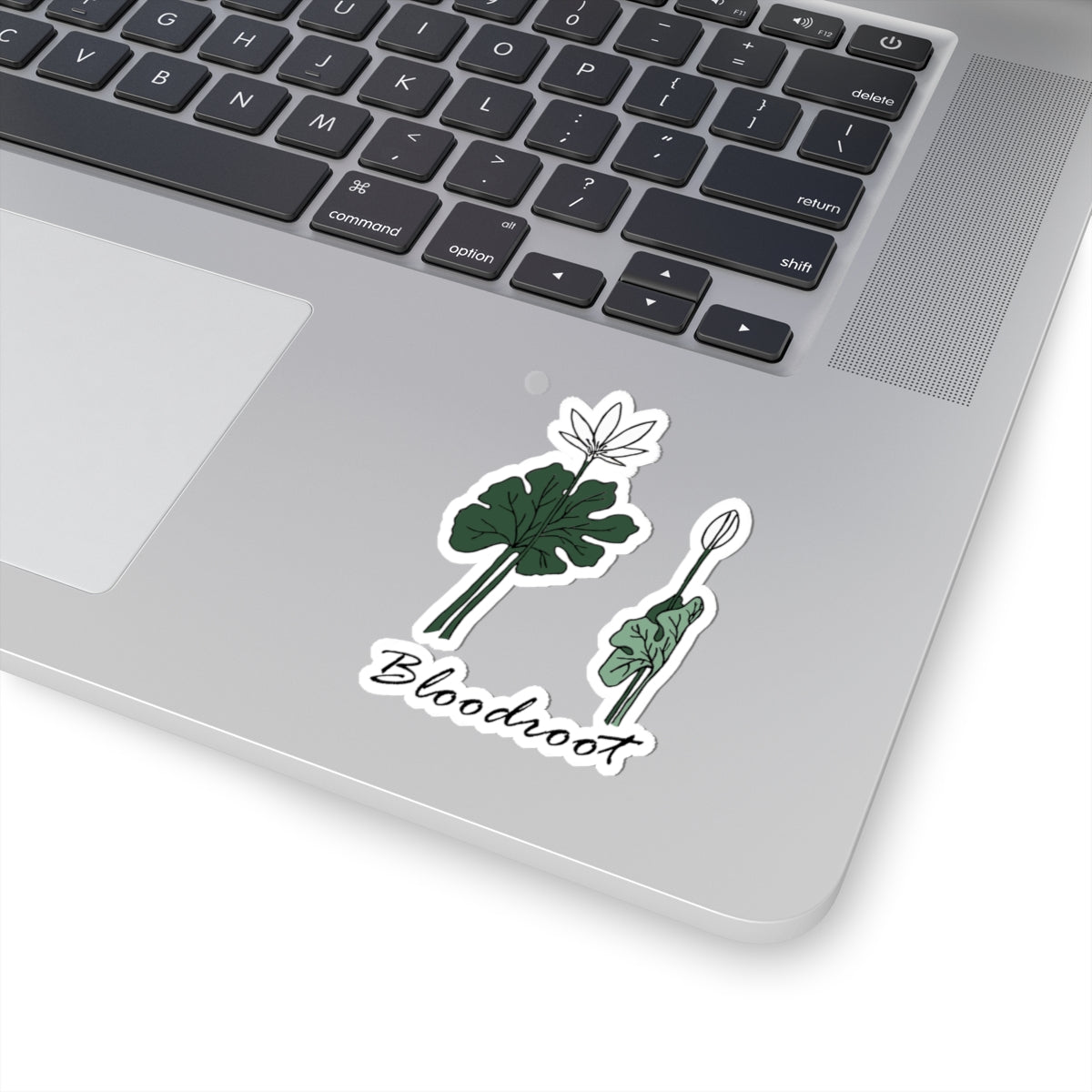 Bloodroot Sticker