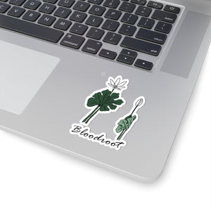 Bloodroot Sticker