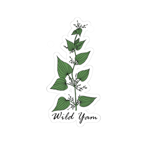 Wild Yam Sticker