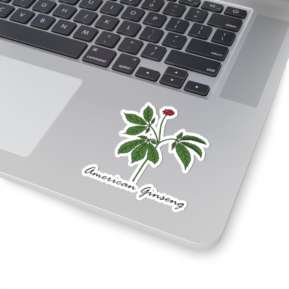 American Ginseng Sticker
