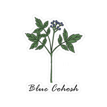 Blue Cohosh Sticker