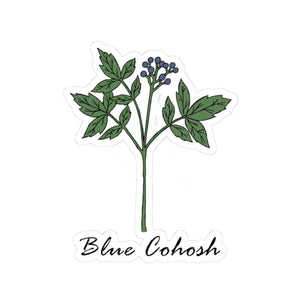 Blue Cohosh Sticker