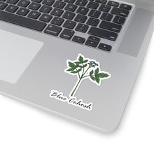 Blue Cohosh Sticker