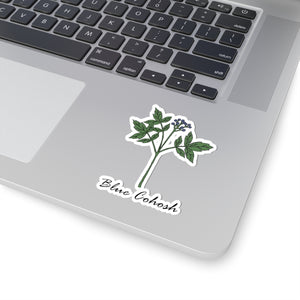 Blue Cohosh Sticker