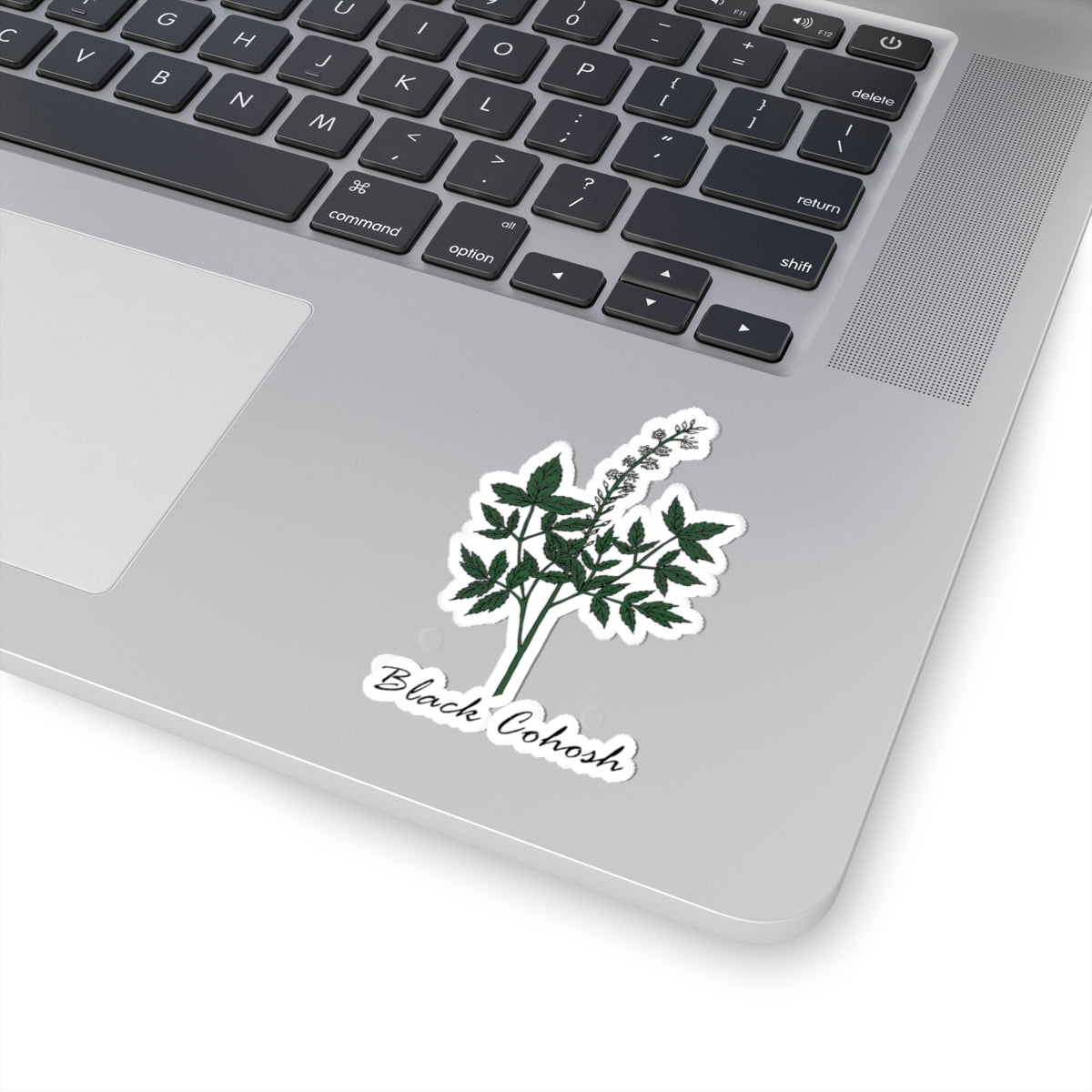 Black Cohosh Sticker