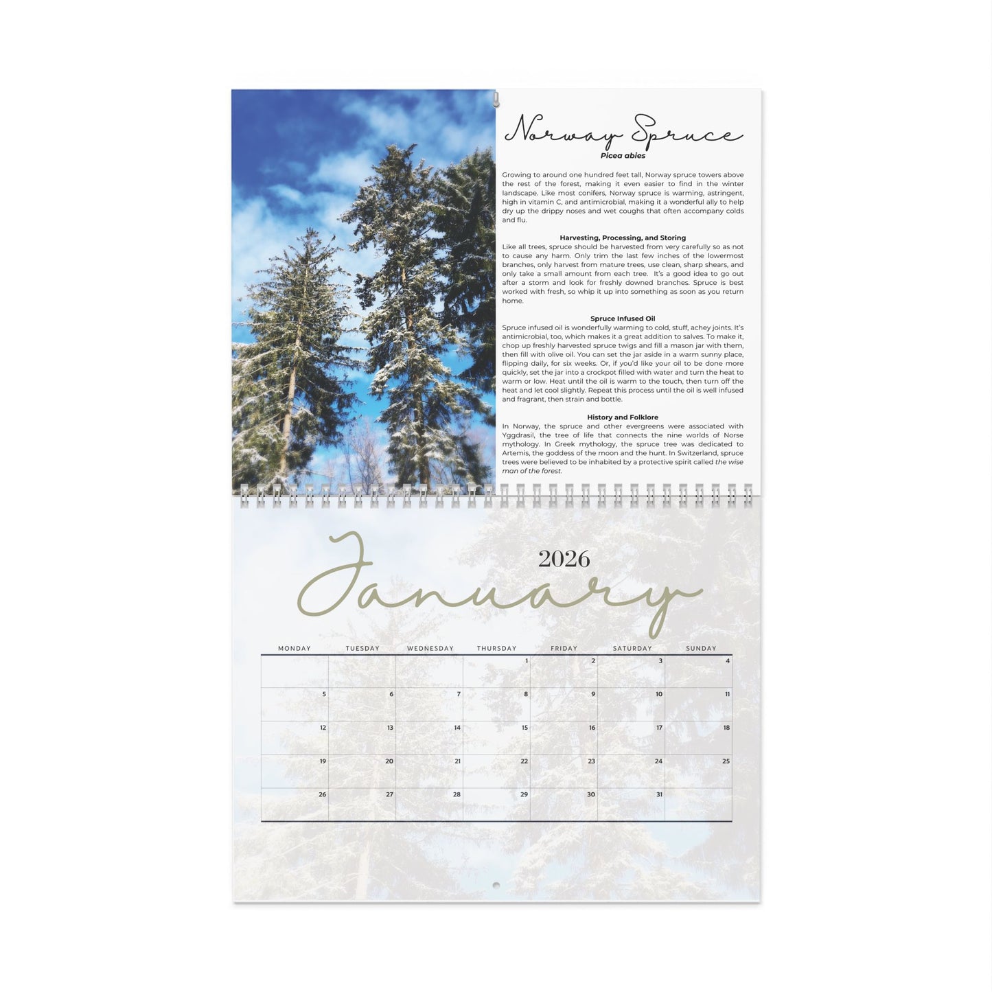 The Herbal Year 2026 Wall Calendar