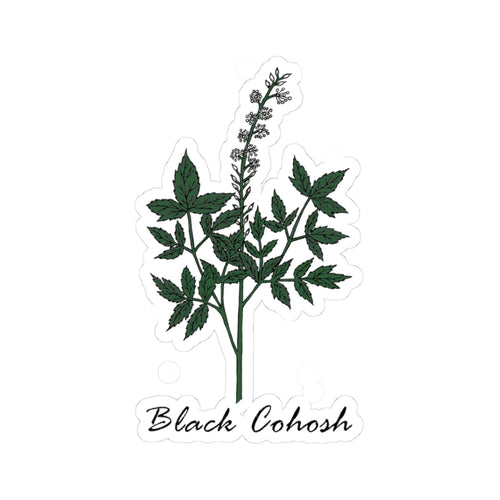 Black Cohosh Sticker
