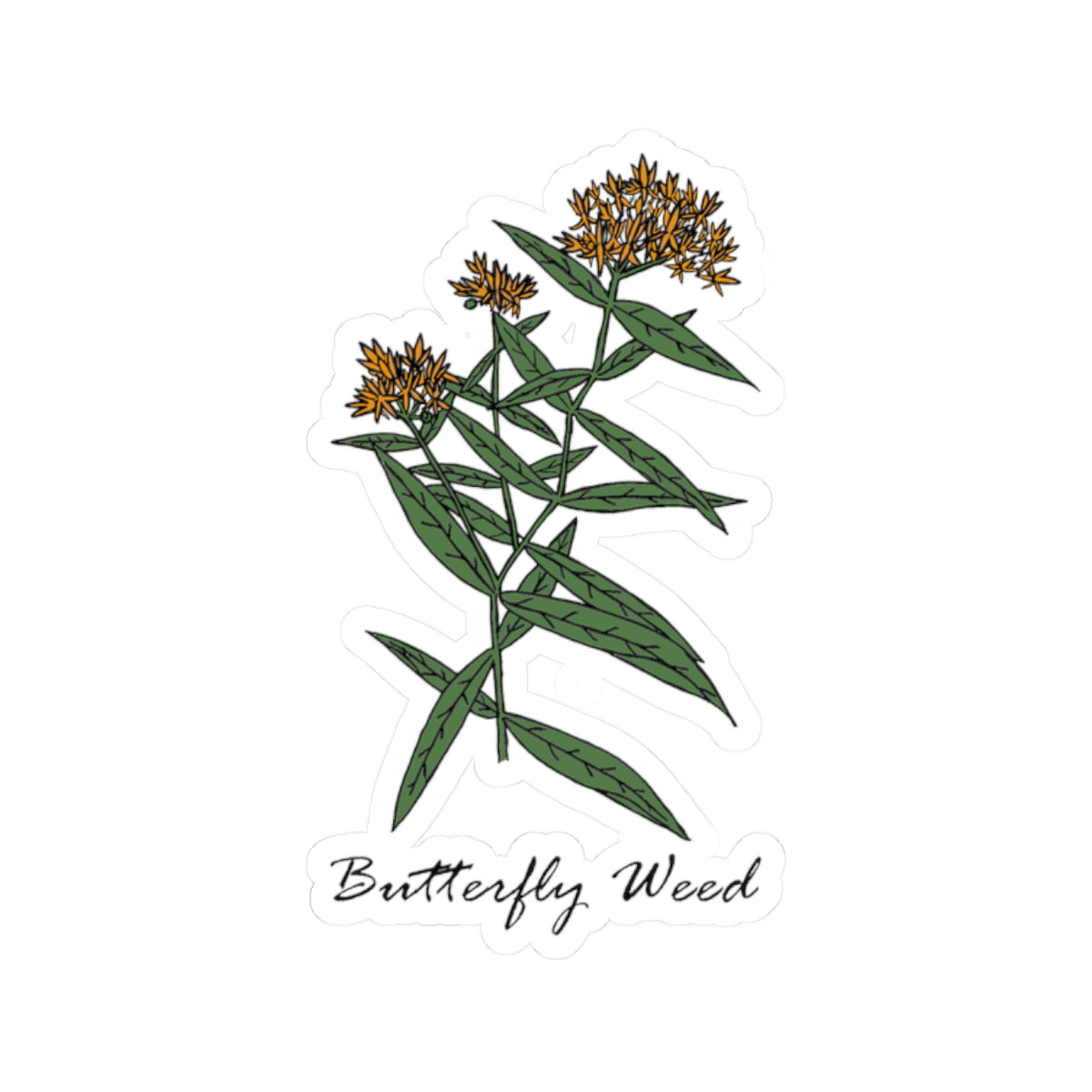 Butterfly Weed Sticker