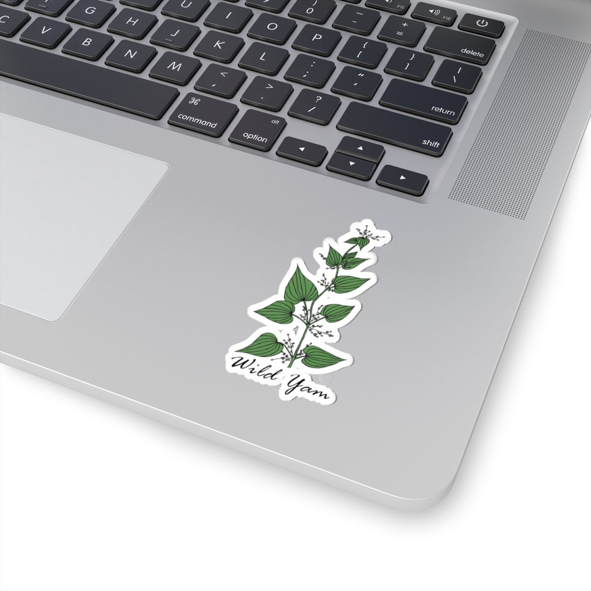 Wild Yam Sticker