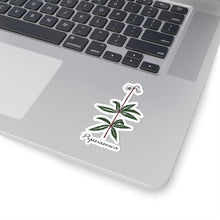 Pipsissewa Sticker