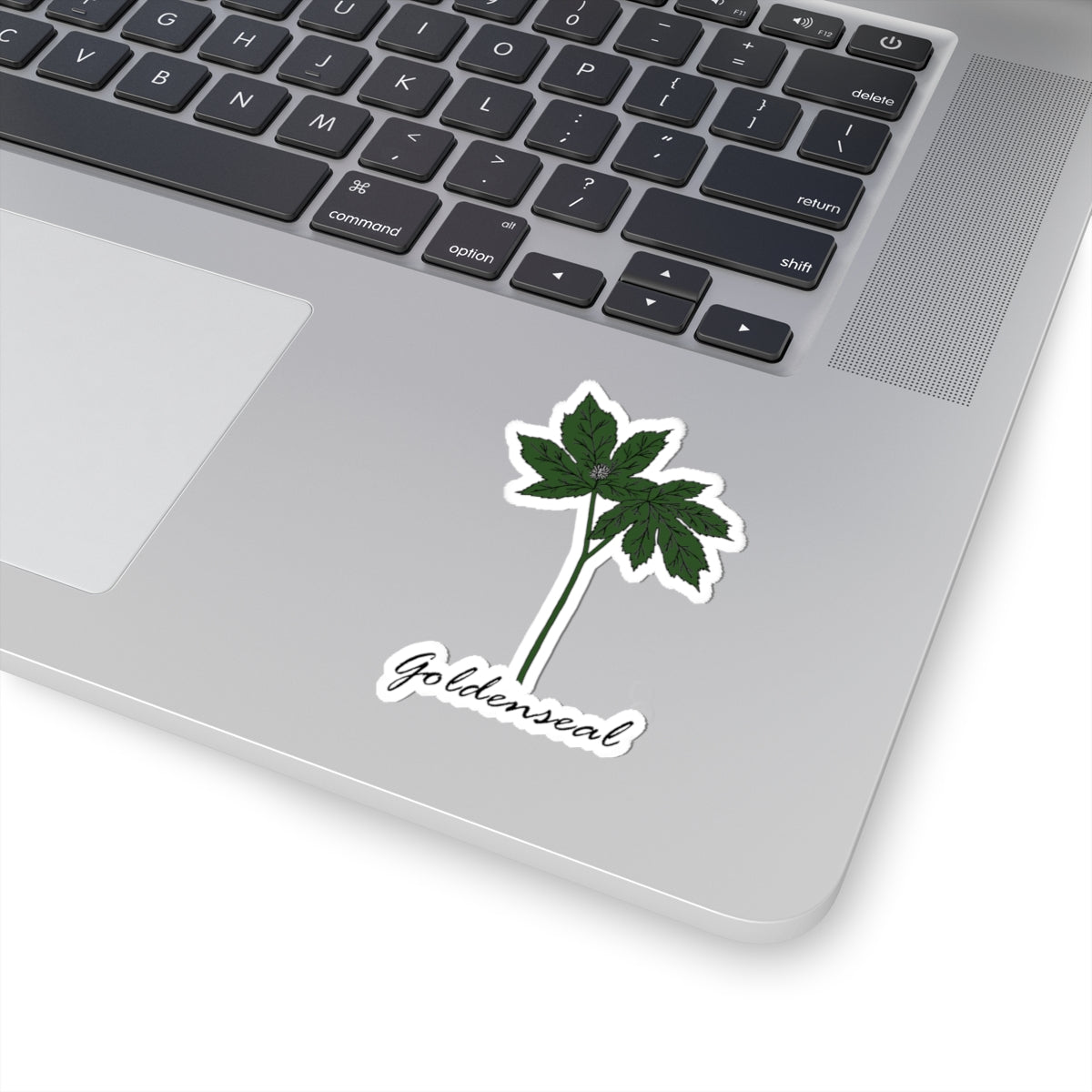Goldenseal Sticker