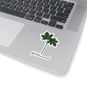 Goldenseal Sticker