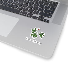 American Ginseng Sticker
