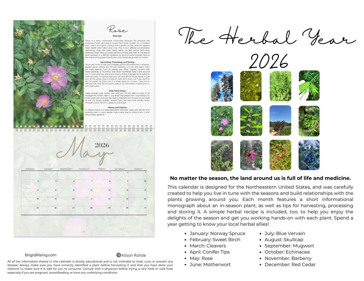 The Herbal Year 2026 Wall Calendar