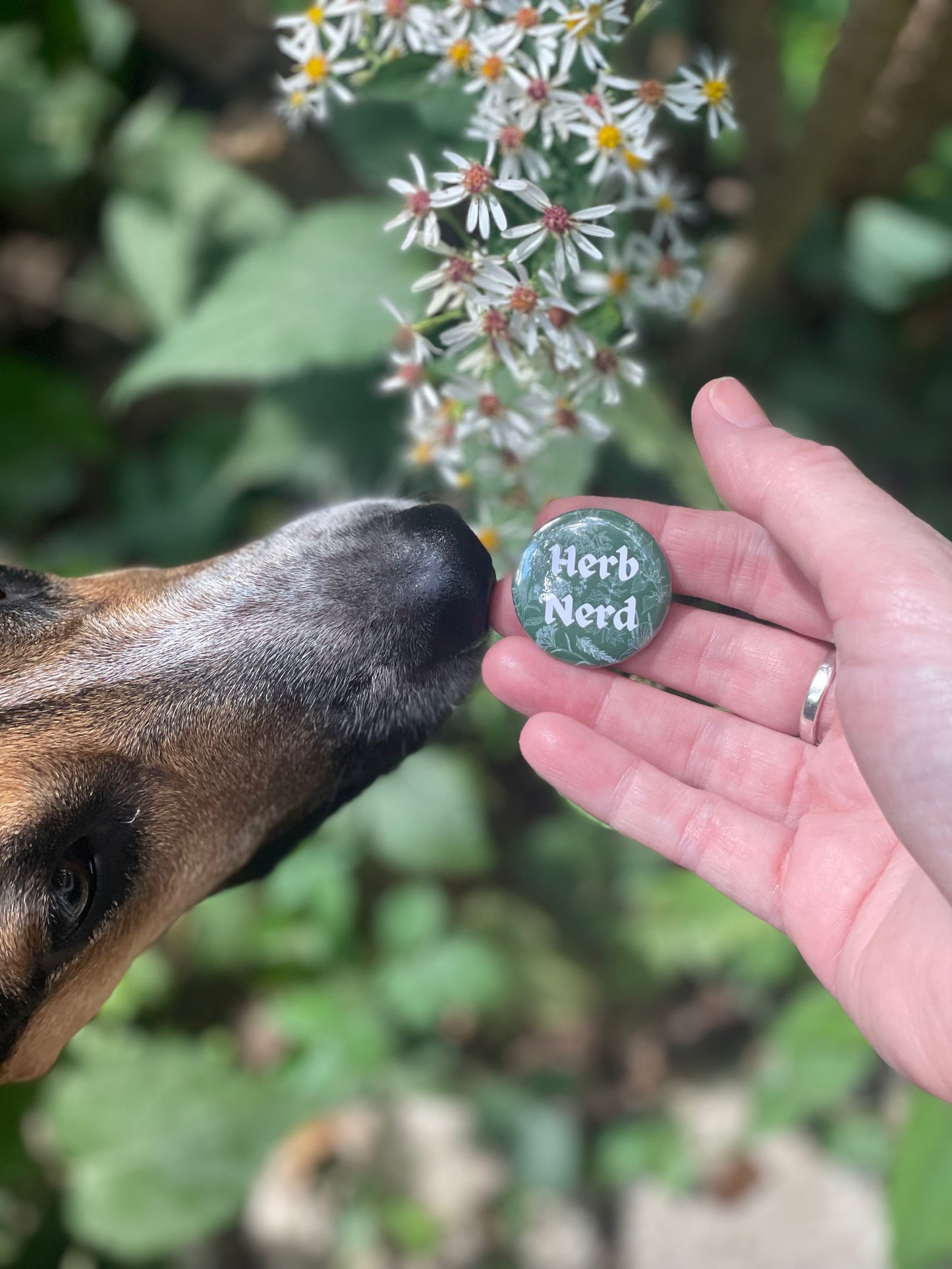Herb Nerd Button