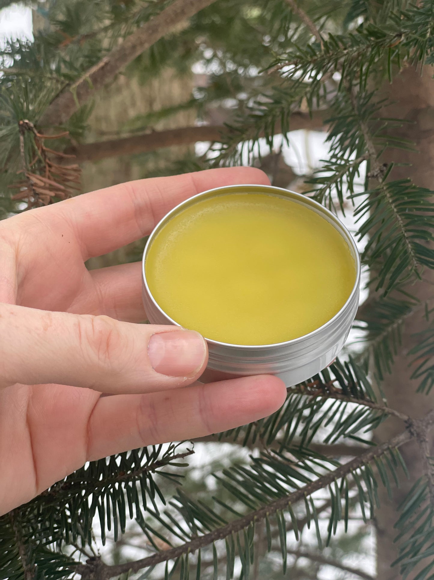 North Woods Herbal Salve