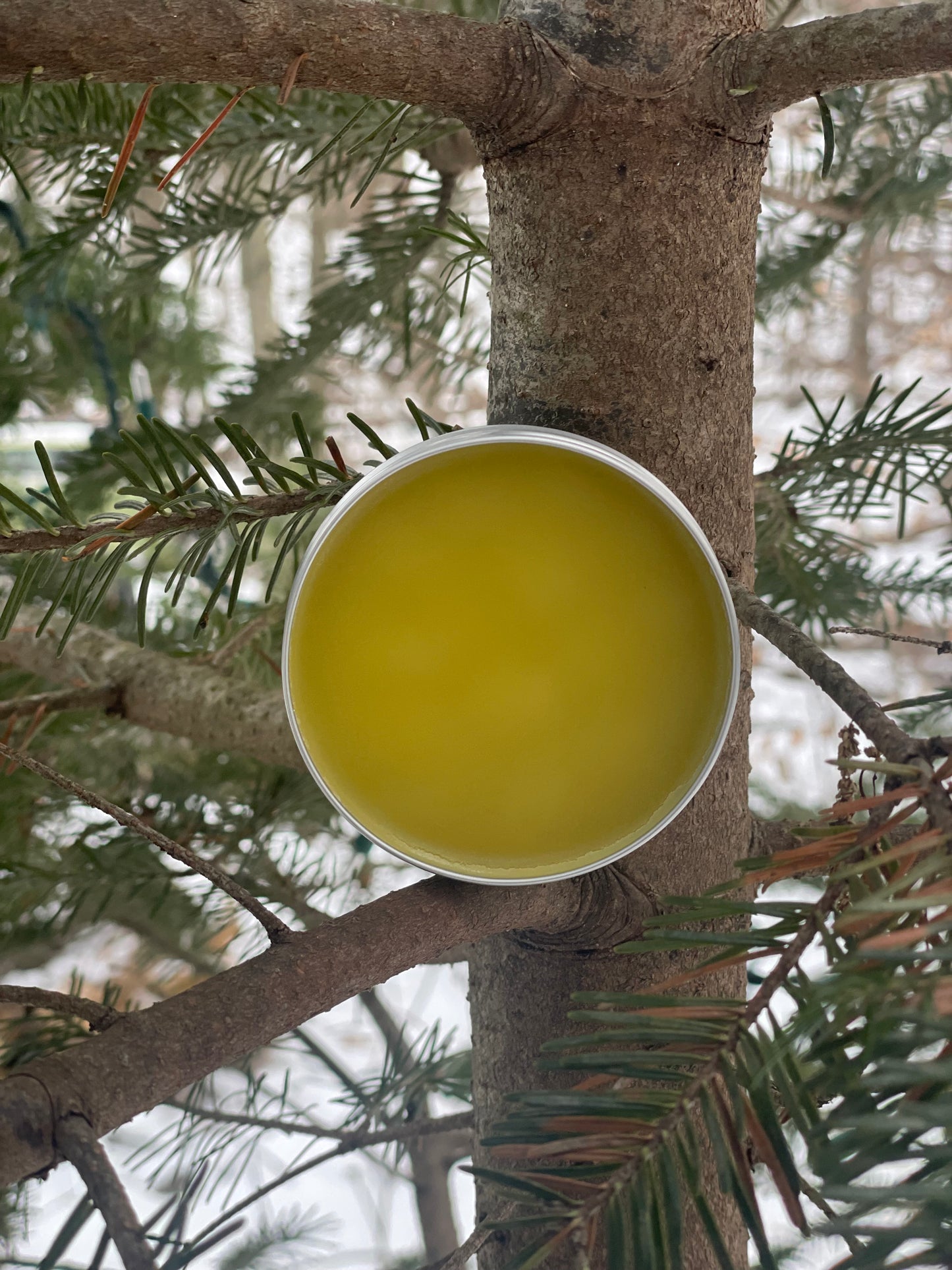 North Woods Herbal Salve