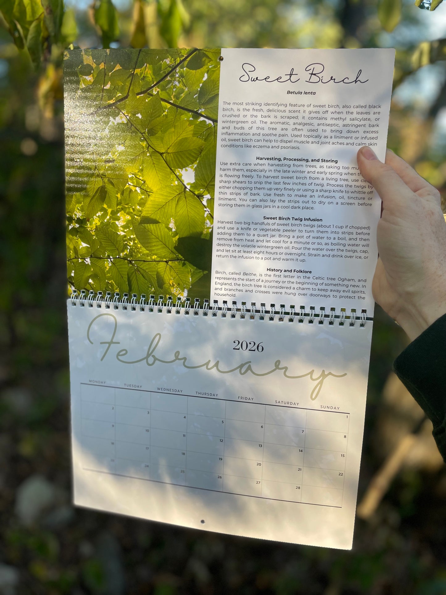 The Herbal Year 2026 Wall Calendar