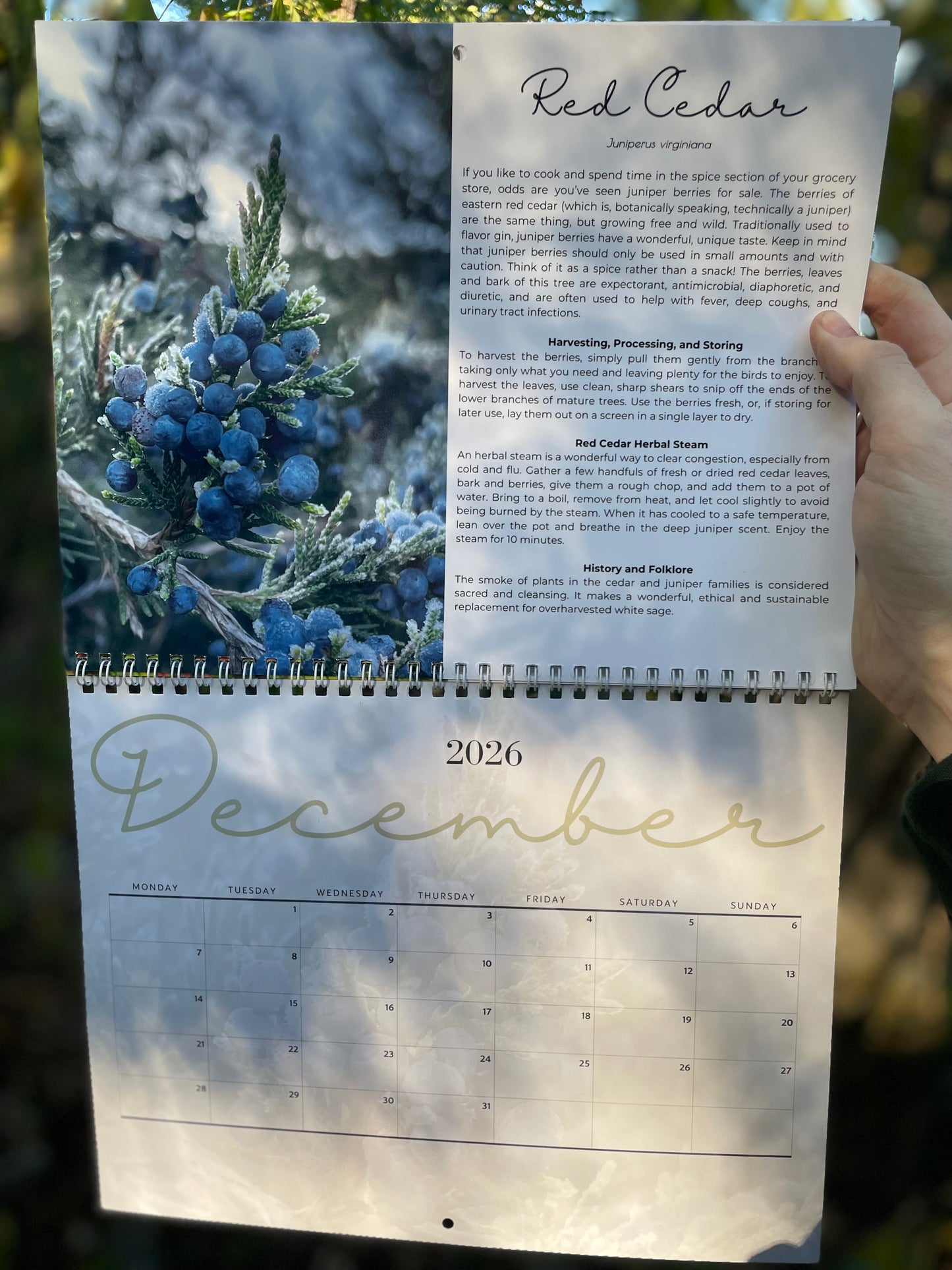 The Herbal Year 2026 Wall Calendar