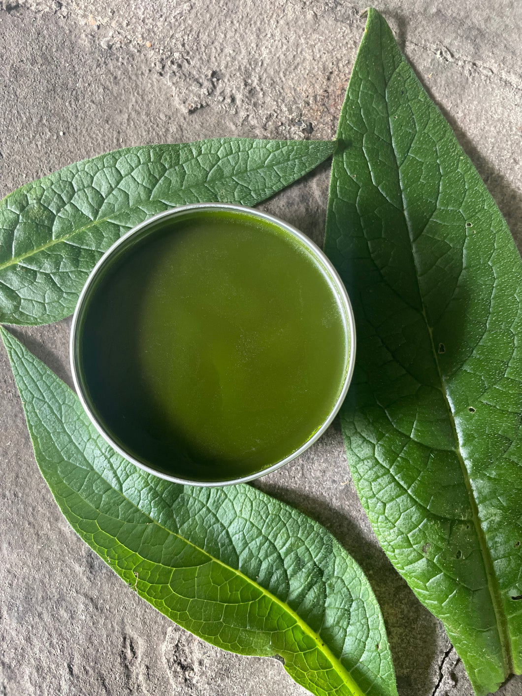 Comfrey Salve