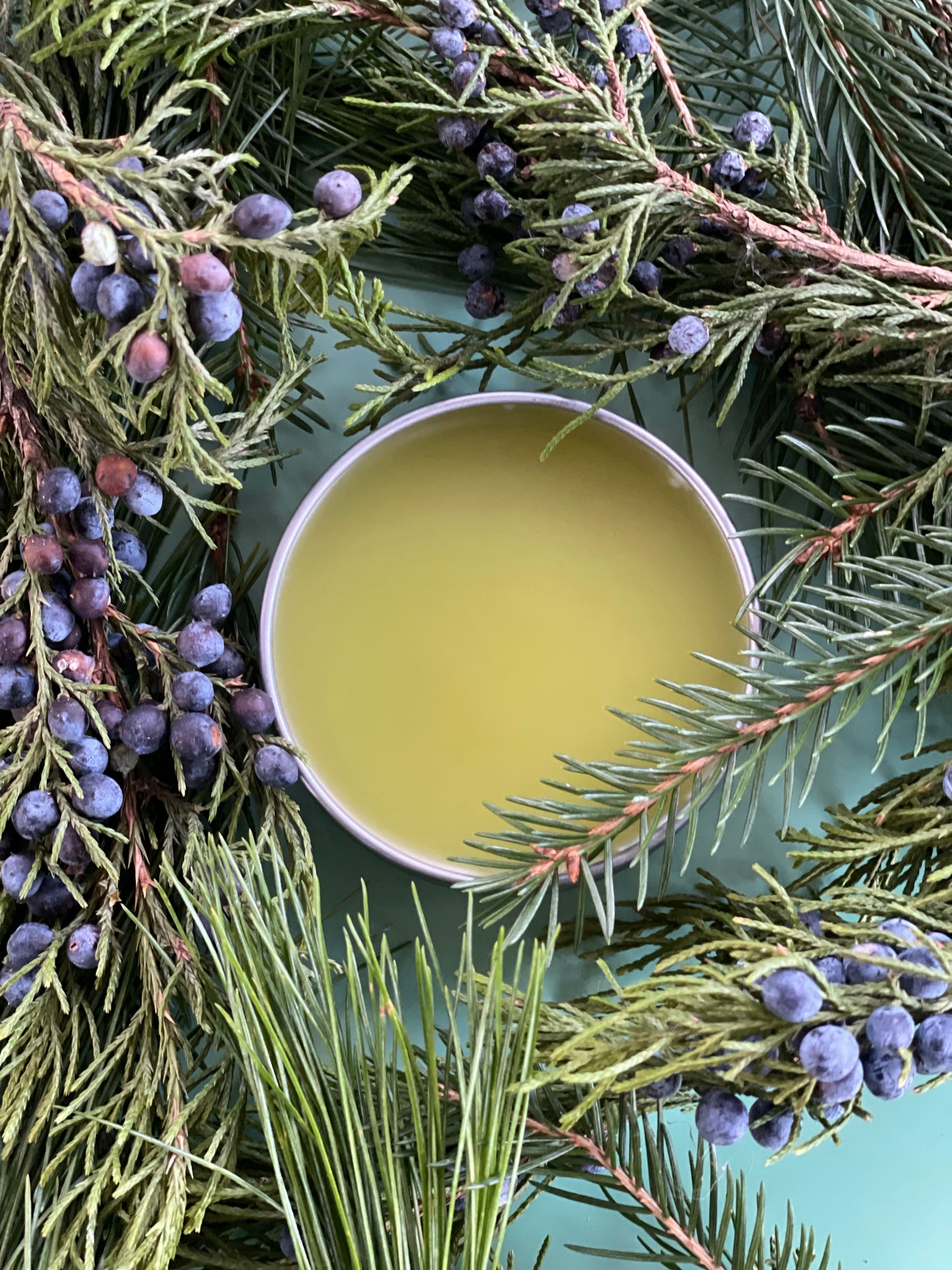 Ancient Pines Evergreen Salve